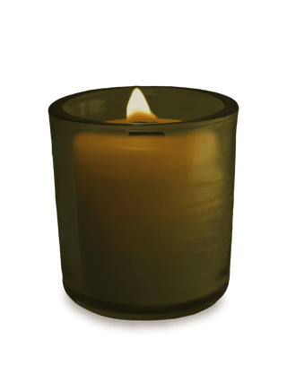 Evergreen Vessel   Momo's Place
