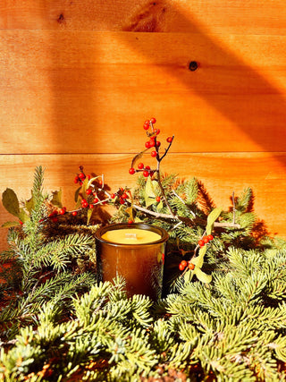 Evergreen Vessel   Momo's Place
