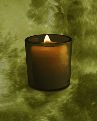 Evergreen Vessel   Momo's Place
