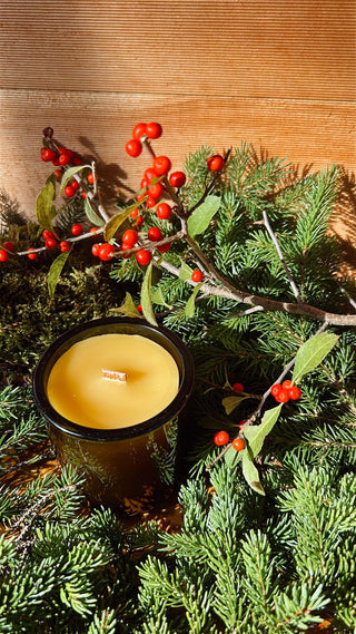 Evergreen Vessel   Momo's Place
