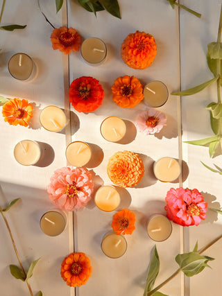 Tealights   Momo's Place
