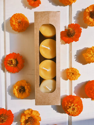 Votives   Momo's Place
